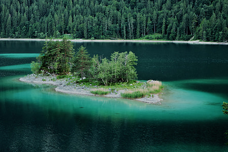 river near pine trees thumbnail
