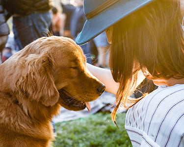 woman sitting in front of the golden retriever thumbnail