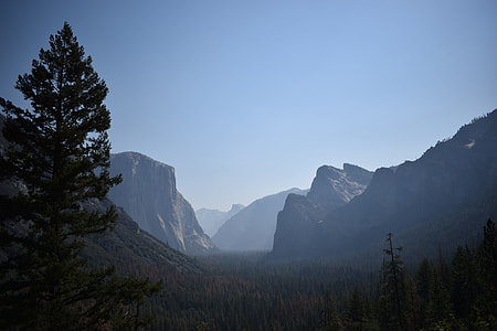 Yosemite National Park, Nature thumbnail