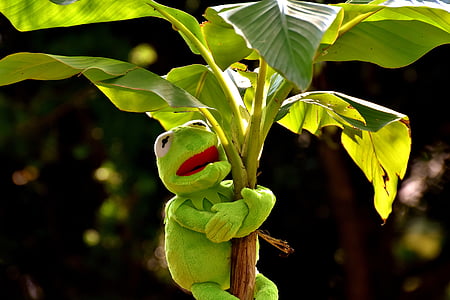 Kermit the frog hugging banana tree thumbnail