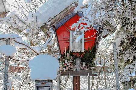 red and green bird house beside tree thumbnail