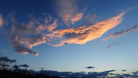 low-angle photography of sky thumbnail