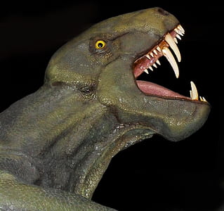 gray dinosaur illustration thumbnail