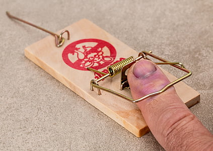 person hands on brown wooden mouse trap thumbnail