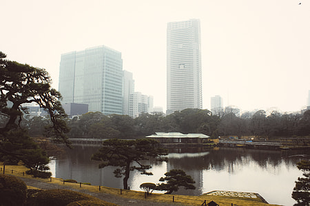 Hamarikyu gardens, Tokyo thumbnail