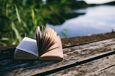 Reading book at lake thumbnail