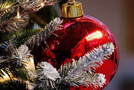 close up photography of red baubles hanged on Christmas tree thumbnail