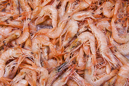 pile of shrimp thumbnail