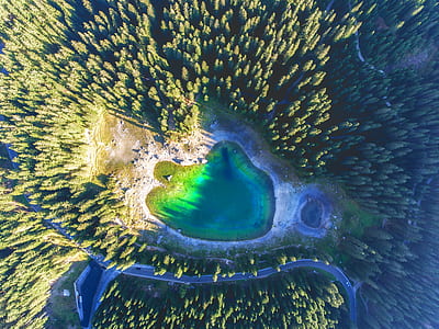 aerial view of Gran Prismatic Spring between forest thumbnail