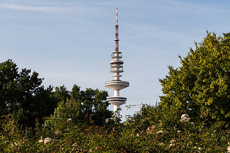 white and grey tower surrounded by green leafed trees at daytime thumbnail
