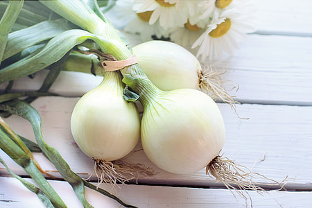 three round white onions thumbnail