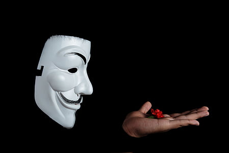 person wearing Guy Fawkes mask holding a red flower thumbnail