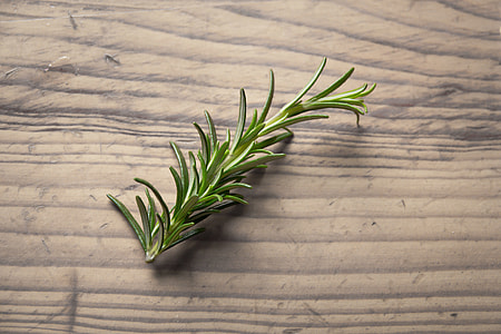 green plant on brown table thumbnail