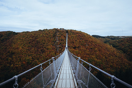 gray hanging bridge through mountain thumbnail