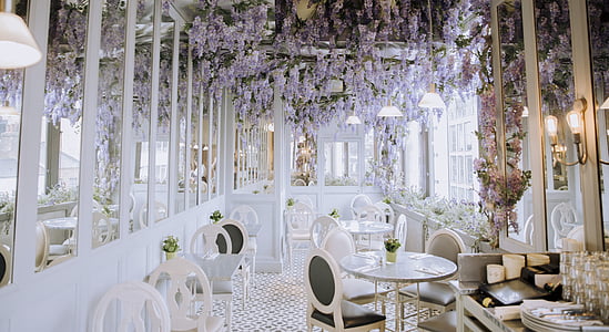 hanging flowers in room thumbnail