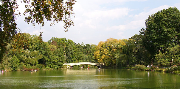 foot bridge near trees and body of water thumbnail