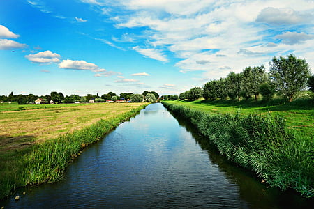 river surrounded by grass thumbnail