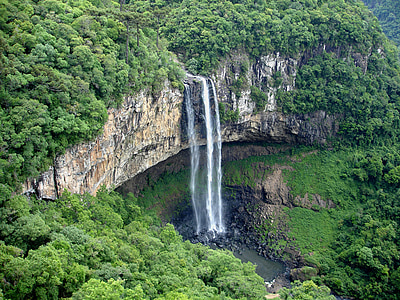 aerial view of waterfalls covered by trees thumbnail