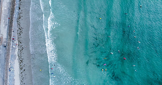 aerial photo of garbage floating on seashore thumbnail