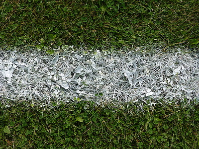 green grass thumbnail