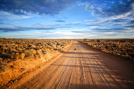 desert trail thumbnail