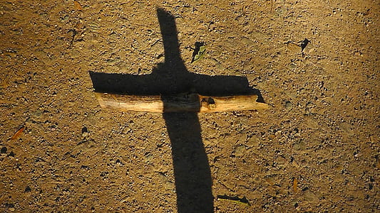 brown wooden stick on brown soil thumbnail