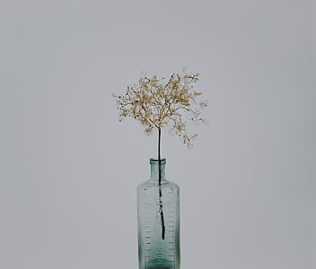brown plant in gray glass bottle centerpiece thumbnail