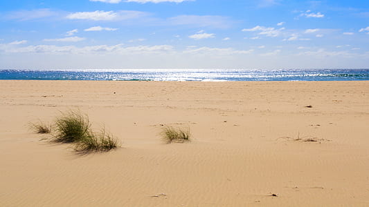 sea shore under clear sky thumbnail