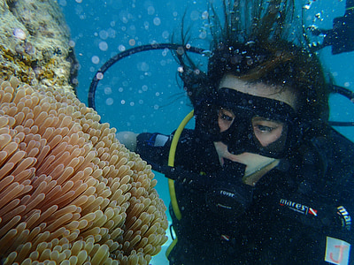 person under water looking brown corals thumbnail