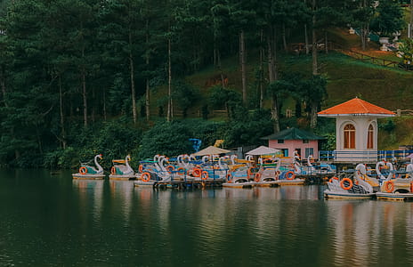 Swan Boats thumbnail