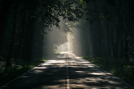gray concrete road thumbnail