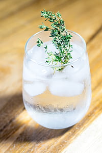 Green Leafed Plant on Drinking Glass With Ice and Water thumbnail