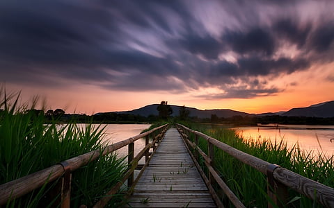 wooden dock under cloudy sky thumbnail