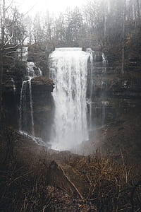 waterfalls beside naked trees during cloudy day thumbnail
