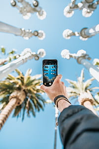 person holding black iPhone 7 taking photo of trees thumbnail