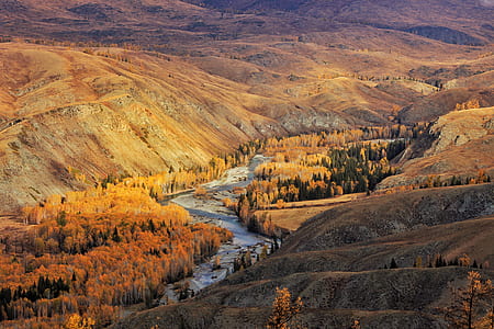 aerial photography of whinding river surrounded with trees thumbnail