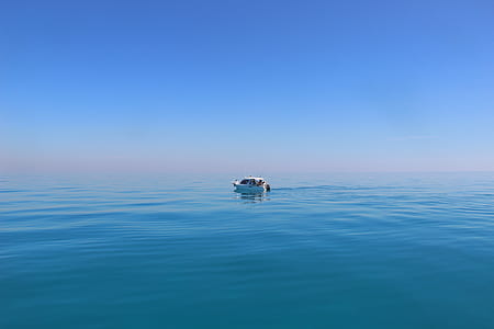 white and black boat on body of water thumbnail
