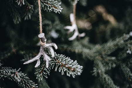 Chic holiday decor thumbnail