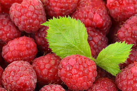 macro photography of strawberries thumbnail
