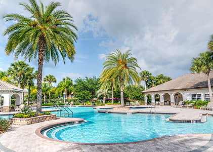 pool near green trees during daytime thumbnail