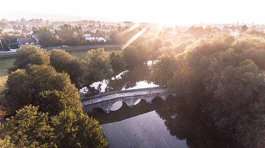 Bird's Eye View Photography of Green Leafed Tree Placed Near Bridge thumbnail