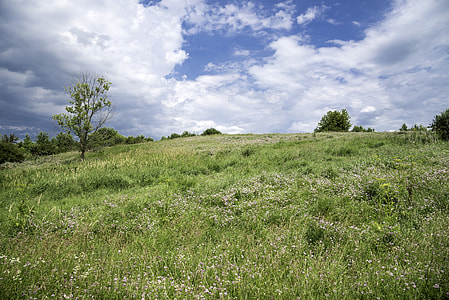 Landscape with clouds over the hill on the grass at Goose Lake Wildlife Area thumbnail