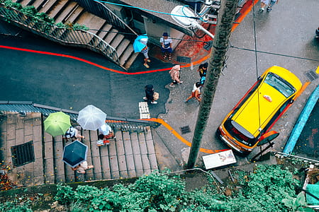 People Walking on Street thumbnail