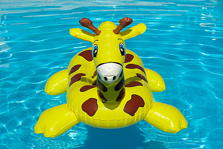 yellow and brown inflatable giraffe ring on swimming pool thumbnail