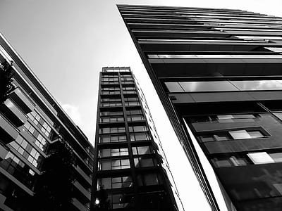 black-and-white, buildings, building, architecture thumbnail