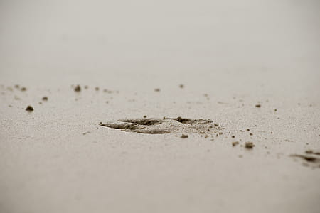 selective focus photography of brown sand thumbnail