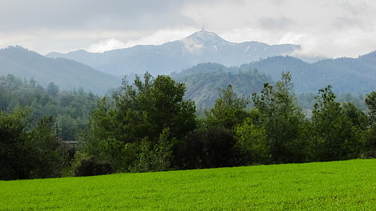 green trees near mountains and green field at daytime thumbnail