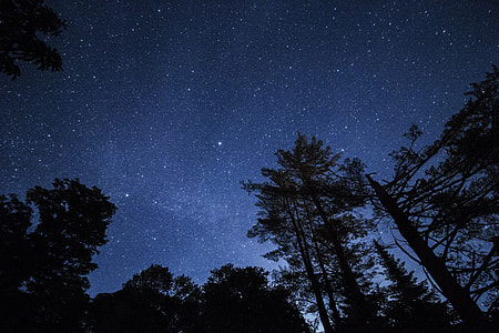 Milkyway Walk thumbnail