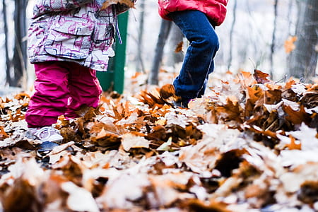 two persons standing on brown leaves thumbnail