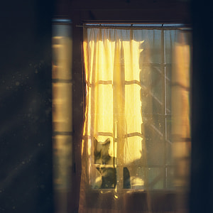 Inviting in the magic. thumbnail
